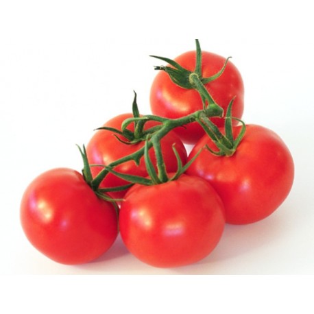 Tomate Grappe or Fr, Le Sachet d'1 Kg