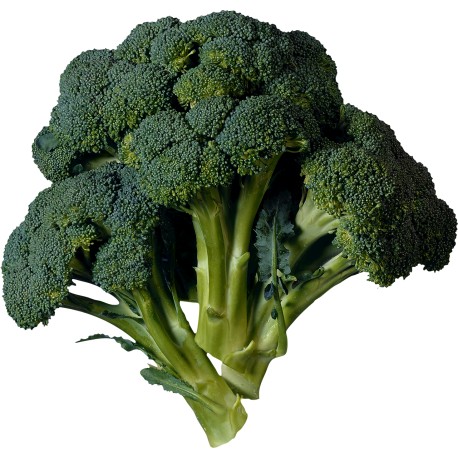 BROCOLI C1or.ESP, La piece de 500gr