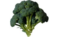 brocoli  C1 or. esp, La pièce de 500gr